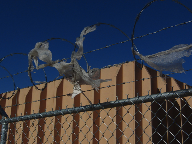 what-we-made-of-it-CIMG1164