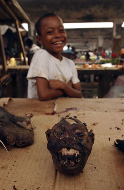 little-boy-and-chimp-head-photo-via-bioko-biodiversity-protection-program